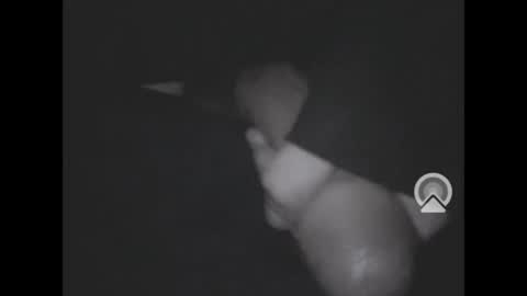 nympham online show from 04/04/26, 07:06