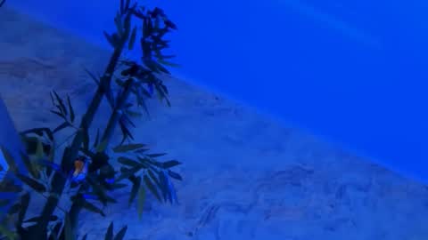 Snapshot of nyssawoodd chatting on 10/02/25, 02:46 nyssawoodd online show from 10/02/25, 02:46