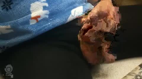 Snapshot of o0okukito0o chatting on 01/12/25, 10:33 o0okukito0o online show from 01/12/25, 10:33