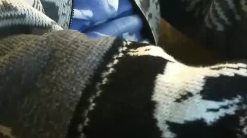 Snapshot of o0okukito0o chatting on 01/14/25, 10:55 o0okukito0o online show from 01/14/25, 10:55