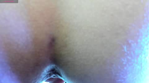 Snapshot of oasis_ossa chatting on 12/14/24, 06:56 Lyam online show from 12/14/24, 06:56