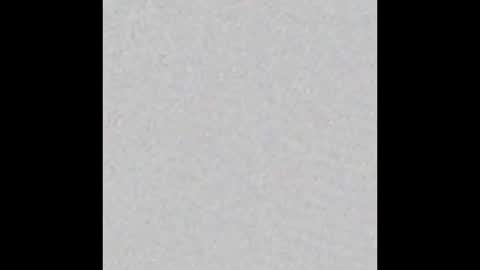 Obsidian stallion online show from 12/21/25, 05:20