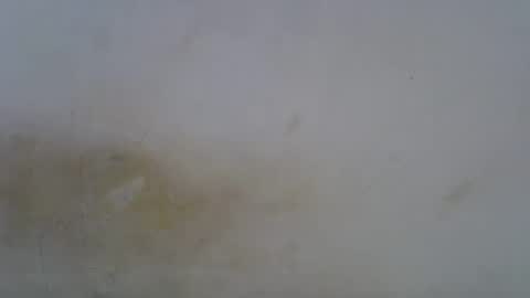 Paloma online show from 05/01/26, 06:23