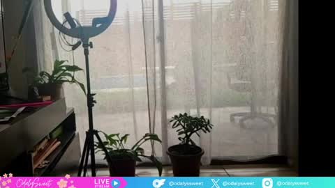 Odalys online show from 04/19/26, 09:06