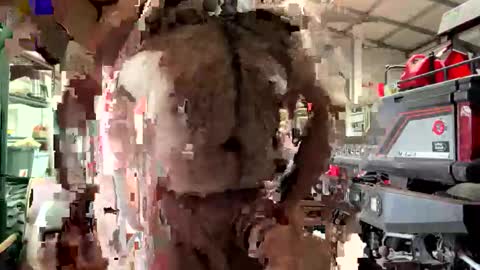 Snapshot of odang_13 chatting on 02/21/26, 10:55 odang_13 online show from 02/21/26, 10:55