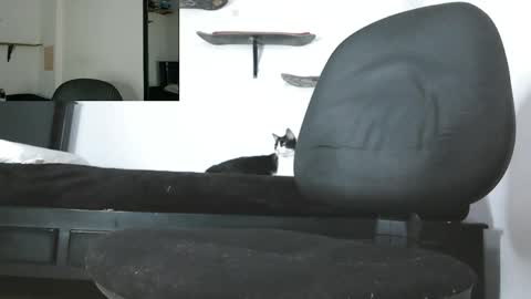 Snapshot of oezack__ chatting on 05/13/26, 03:48 Zack online show from 05/13/26, 03:48