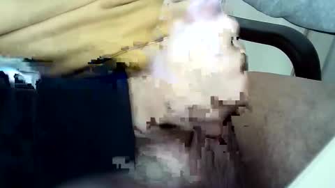 Snapshot of officersex_y chatting on 11/23/25, 01:33 officersex y online show from 11/23/25, 01:33