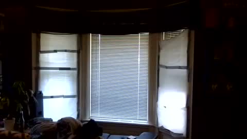 Snapshot of oflores77 chatting on 04/06/26, 01:12 oscar flores online show from 04/06/26, 01:12