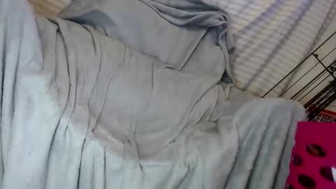 OGDigBick online show from 02/01/25, 02:13