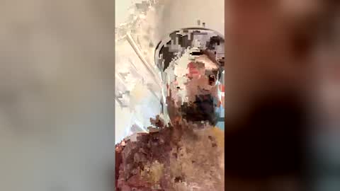 ogkftp online show from 04/20/26, 01:58