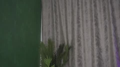 Julia online show from 02/14/25, 08:21