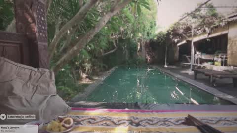 Snapshot of ohmymojo chatting on 11/11/25, 01:05 Mo online show from 11/11/25, 01:05