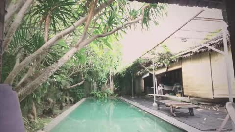 Snapshot of ohmymojo chatting on 11/18/25, 01:55 Mo online show from 11/18/25, 01:55