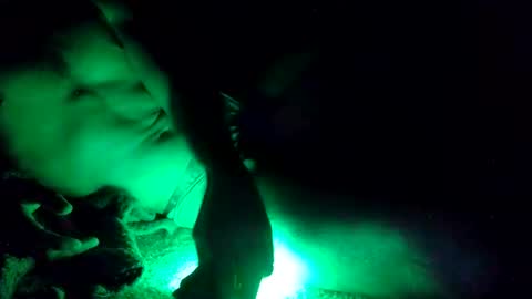 Snapshot of oibrev49 chatting on 03/21/26, 09:03 oibrev49 online show from 03/21/26, 09:03