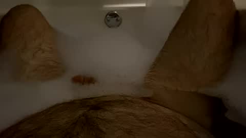 Snapshot of oldbones2 chatting on 02/09/25, 03:11 oldbones2 online show from 02/09/25, 03:11