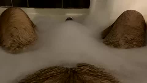 Snapshot of oldbones2 chatting on 02/16/25, 02:20 oldbones2 online show from 02/16/25, 02:20