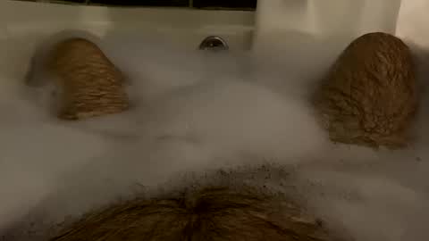 Snapshot of oldbones2 chatting on 02/17/25, 01:36 oldbones2 online show from 02/17/25, 01:36