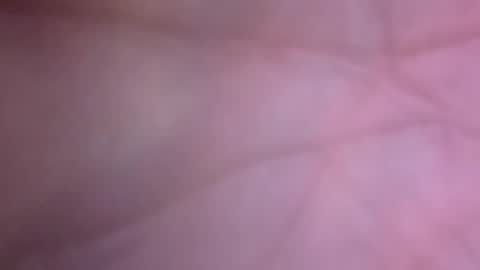 Big Dino Dick online show from 04/12/26, 12:59