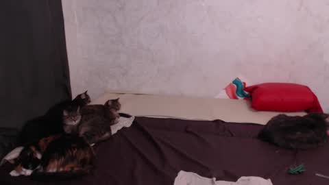 Snapshot of olivia_redd chatting on 02/04/26, 03:12 Olivia online show from 02/04/26, 03:12