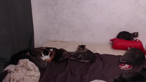 Snapshot of olivia_redd chatting on 02/04/26, 03:18 Olivia online show from 02/04/26, 03:18