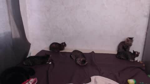 Snapshot of olivia_redd chatting on 03/20/26, 12:54 Olivia online show from 03/20/26, 12:54