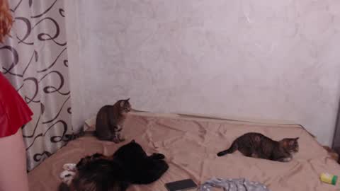 Olivia online show from 06/11/26, 02:53