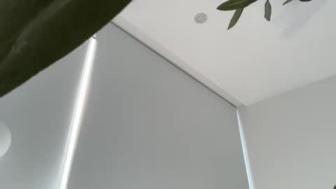 Olivia Brookes online show from 11/30/25, 09:19