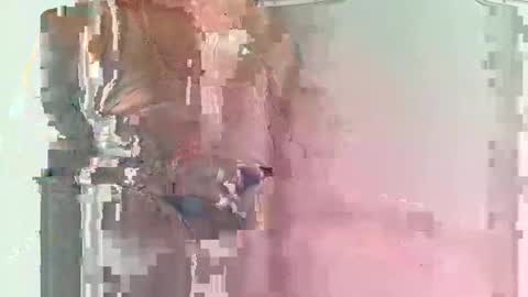 Snapshot of olover34 chatting on 03/01/25, 11:39 olover online show from 03/01/25, 11:39