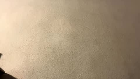 amy 3 online show from 09/28/25, 08:47