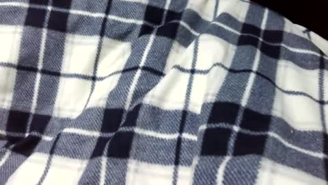 onanii21 online show from 01/14/25, 01:58