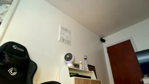 onedayonedollar online show from 08/01/26, 02:49