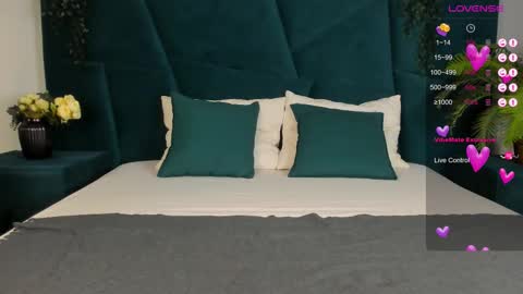 Snapshot of only_eric chatting on 02/16/25, 09:59 Erick online show from 02/16/25, 09:59