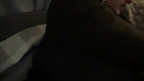 onthedlhere online show from 12/24/24, 12:00