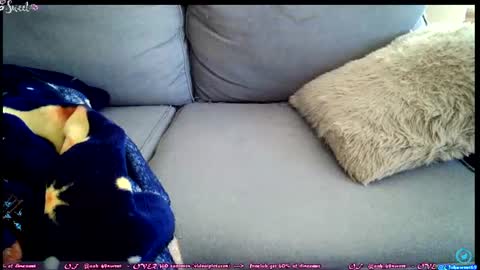  OF - Ooh 69sweet SNAP4LIFE OFFLINE  899 normal  VIP 1369 outside  online show from 06/27/26, 02:34