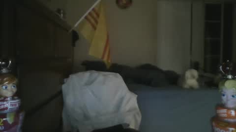 Snapshot of oorah1775 chatting on 03/01/25, 11:50 oorah1775 online show from 03/01/25, 11:50