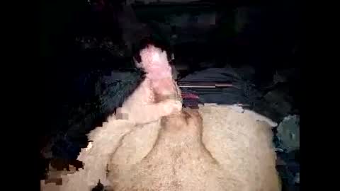 opelator online show from 01/27/25, 06:20