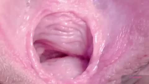 orchidekitty online show from 03/06/26, 09:11