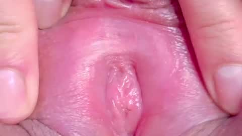orchidekitty online show from 06/11/26, 01:16