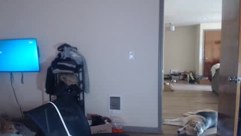 The Oregon Lumberjack online show from 05/03/26, 12:49
