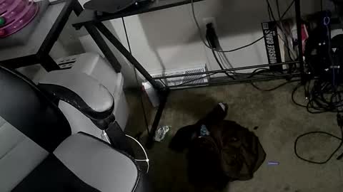 Snapshot of orgasmgiver9090 chatting on 03/20/26, 07:52 orgasmgiver9090 online show from 03/20/26, 07:52