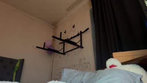 origamicat online show from 01/15/26, 09:07