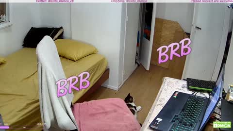 Snapshot of osito_blanco chatting on 01/30/25, 05:19 Osito Blanco online show from 01/30/25, 05:19