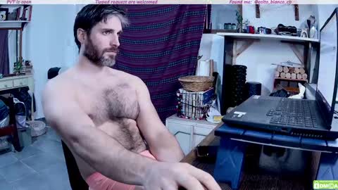 Osito Blanco online show from 05/08/26, 11:43