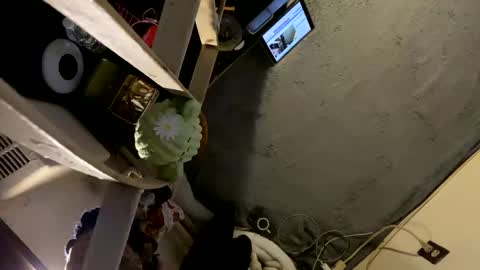 CoCreatorBlancki online show from 01/03/25, 04:22
