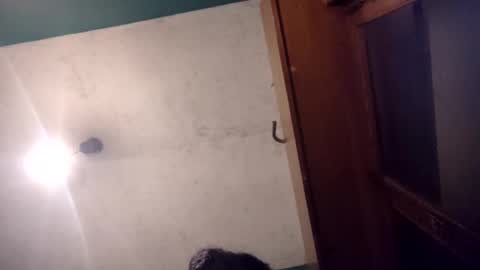 pablo6234516161 online show from 05/20/26, 11:11