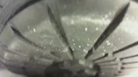 Pablo Meness online show from 01/24/25, 04:49