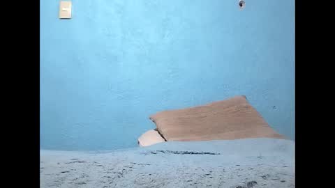 Snapshot of packo7777 chatting on 03/06/26, 08:27 packo7777 online show from 03/06/26, 08:27