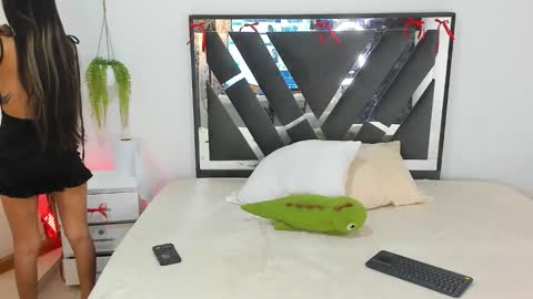 palechor online show from 02/15/26, 04:03