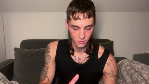 Snapshot of palm1stry chatting on 11/01/25, 12:23 Ayden online show from 11/01/25, 12:23