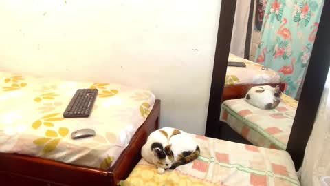 Snapshot of pamela_vasquez chatting on 09/13/25, 05:24 diana online show from 09/13/25, 05:24